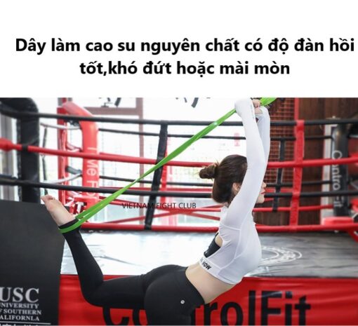 DÂY KHÁNG LỰC UPOWEX 50LB - 125LB - Ảnh 4