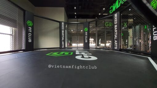 Lồng MMA 5m x 5m - Ảnh 3