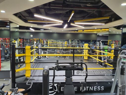 Sàn Boxing 5m x 5m - Ảnh 2