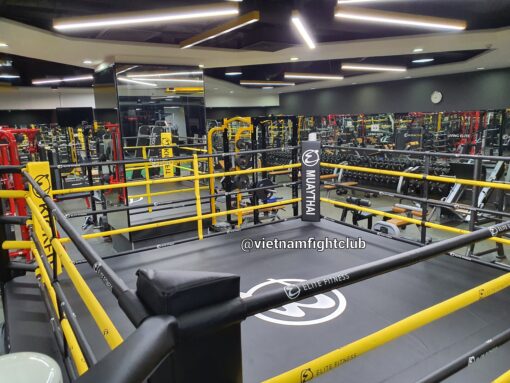 Sàn Boxing 5m x 5m