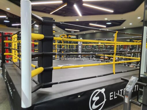 Sàn Boxing 5m x 5m - Ảnh 3