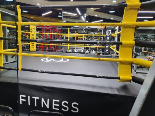 Sàn Boxing 5m x 5m - Ảnh 4