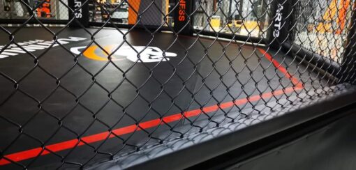 Lồng MMA 5m x 5m - Ảnh 11