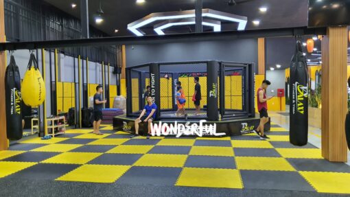 Lồng MMA 5m x 5m - Ảnh 2