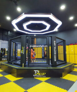 Lồng MMA 5m x 5m