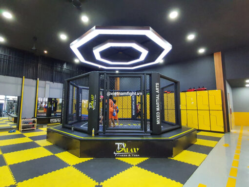 Lồng MMA 5m x 5m