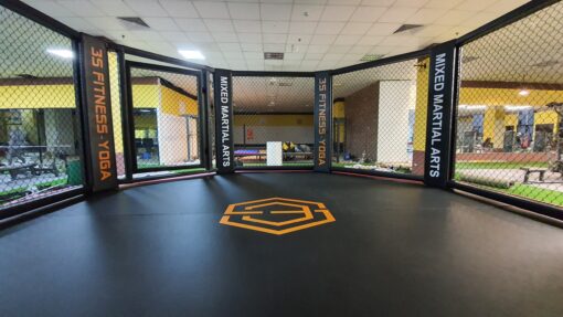 Lồng MMA 5m x 5m - Ảnh 5