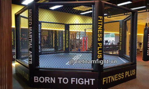 Lồng MMA 5m x 5m - Ảnh 6