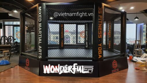 Lồng MMA 5m x 5m - Ảnh 8