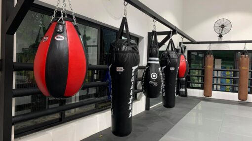 BAO ĐẤM BOXING FAIRTEX HB10 BOWLING BAG - Ảnh 2