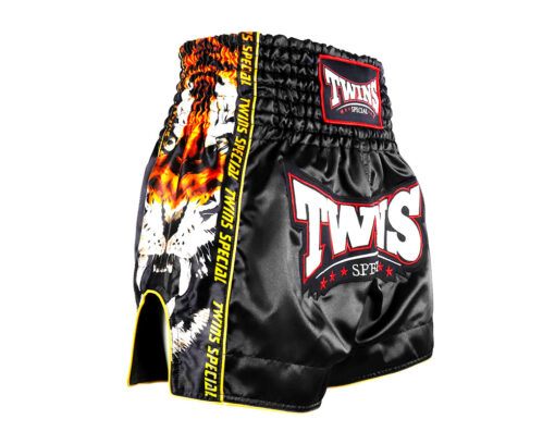 QUẦN BOXING MUAY THAI TWINS PAYAK - Ảnh 2