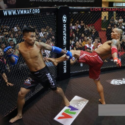 Quần thi đấu MMA Lion Championship - Ảnh 8