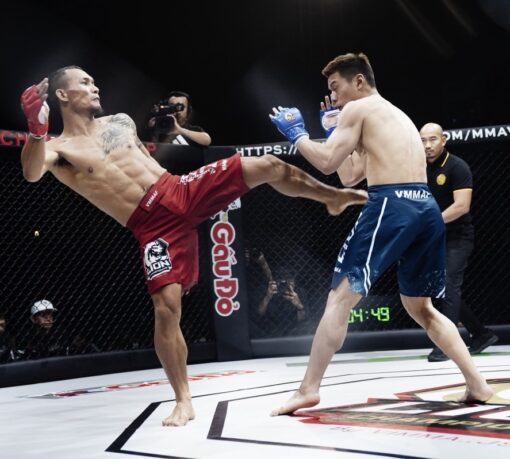 Quần thi đấu MMA Lion Championship - Ảnh 9