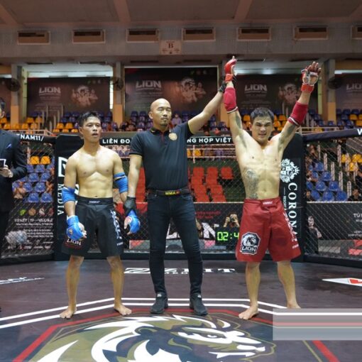 Quần thi đấu MMA Lion Championship - Ảnh 4