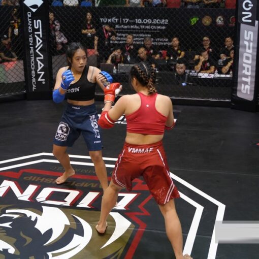 Quần thi đấu MMA Lion Championship - Ảnh 5