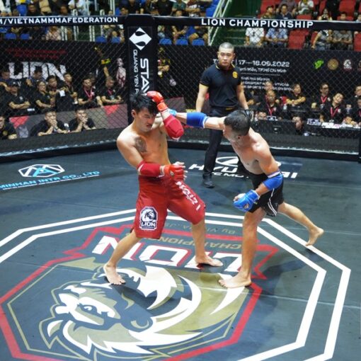 Quần thi đấu MMA Lion Championship - Ảnh 7