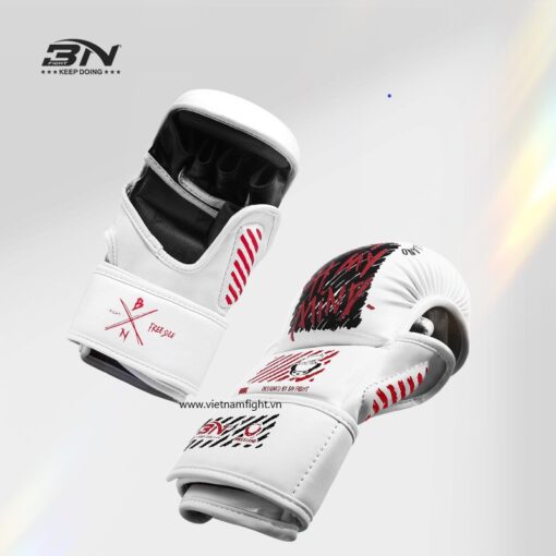 Găng tập luyện MMA BN - Ảnh 4