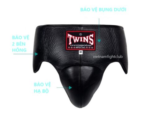 Bảo Vệ Hạ Bộ Boxing Twins Da Synthetic APS1 - Ảnh 2