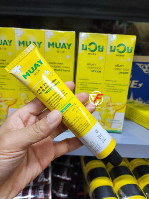 Kem Xoa Bóp Giảm Đau Boxing Muay Thai Namman BAC1 - Ảnh 3
