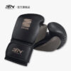 Găng Tay Boxing BN Circle